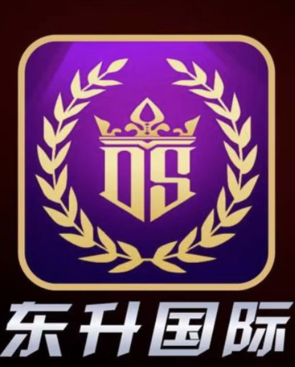 东升国际